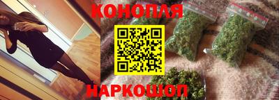 прущие грибы Краснознаменск