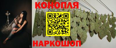 прущие грибы Краснознаменск