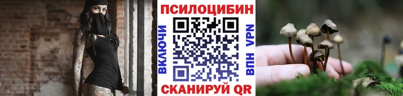 блэк спрут маркетплейс  Тамбов  Псилоцибиновые грибы мухоморы 