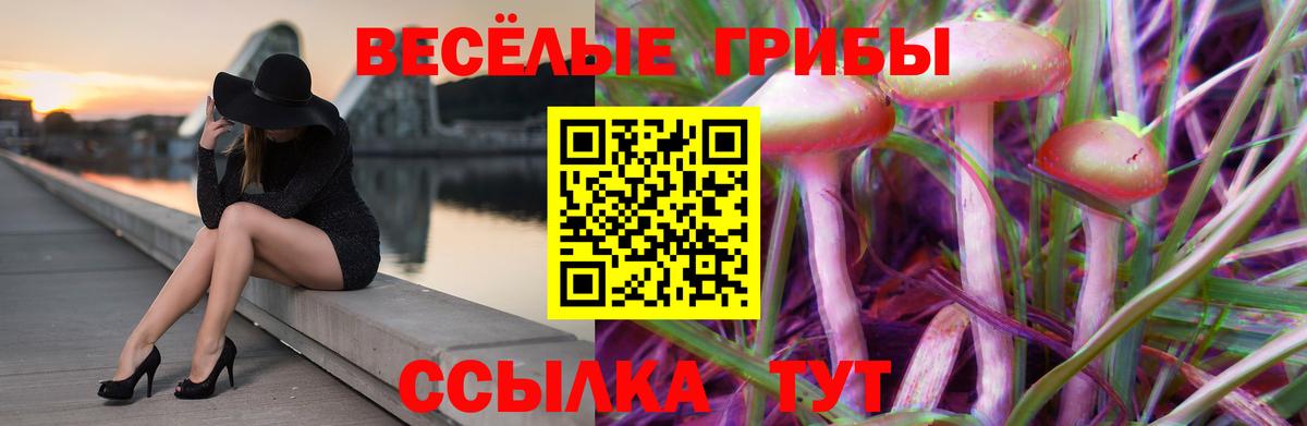 Тамбов  Псилоцибиновые грибы Psilocybe  Вход с VPN 